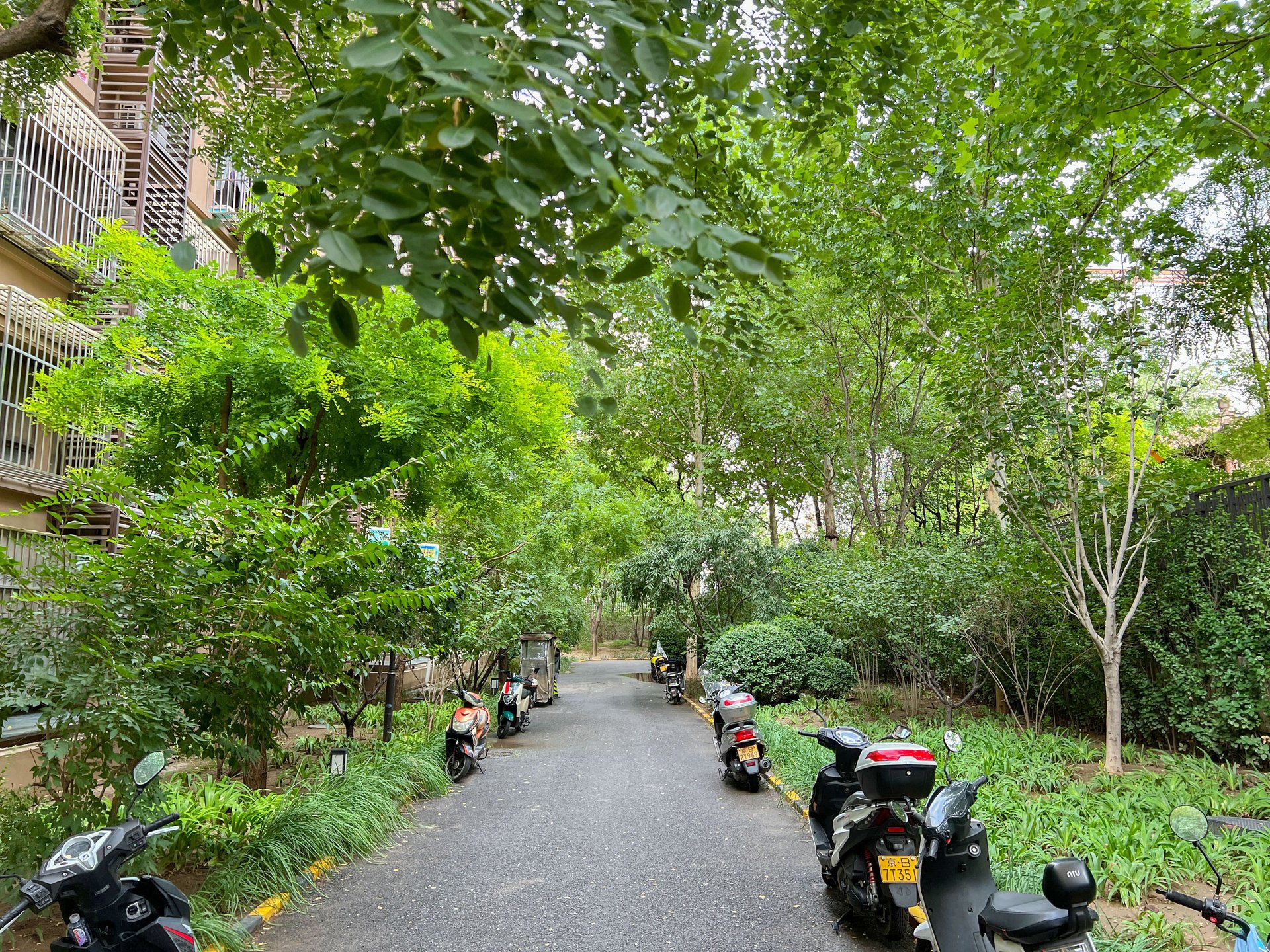 玉璞家园 environment