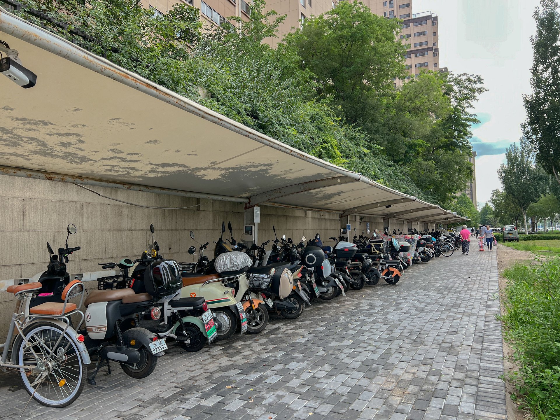 玉璞家园 environment