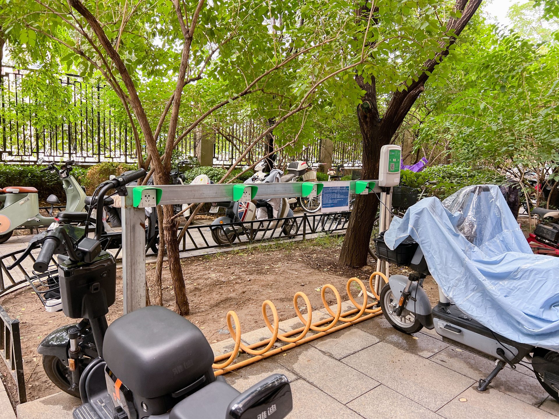 玉璞家园 environment