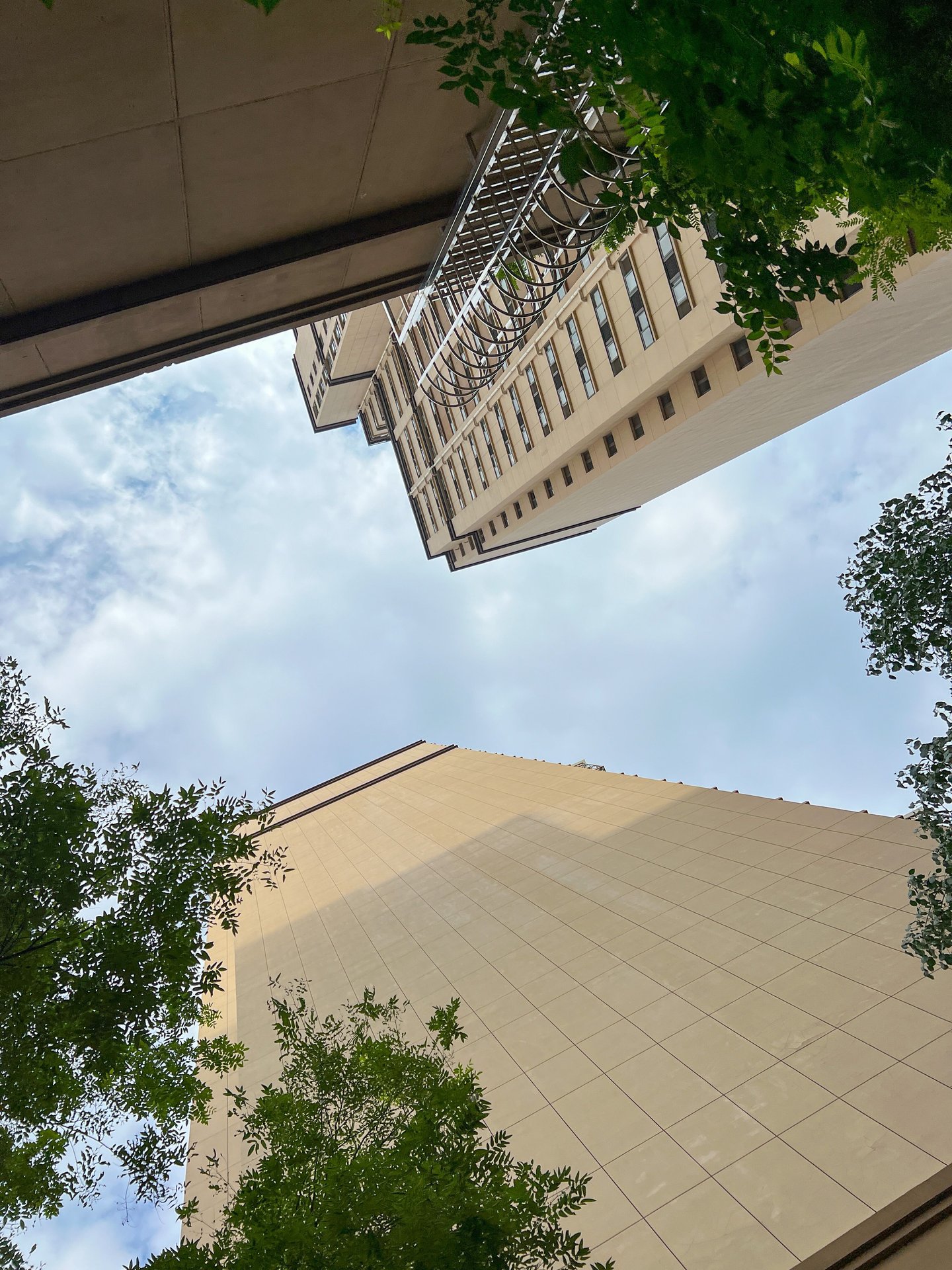 玉璞家园 environment