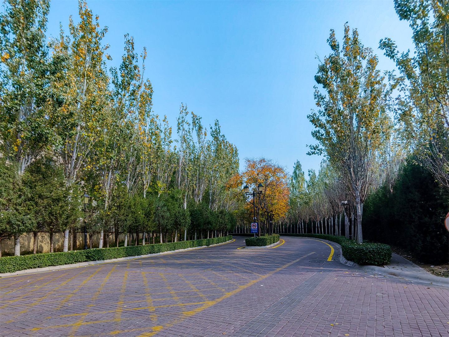 誉天下四期 environment