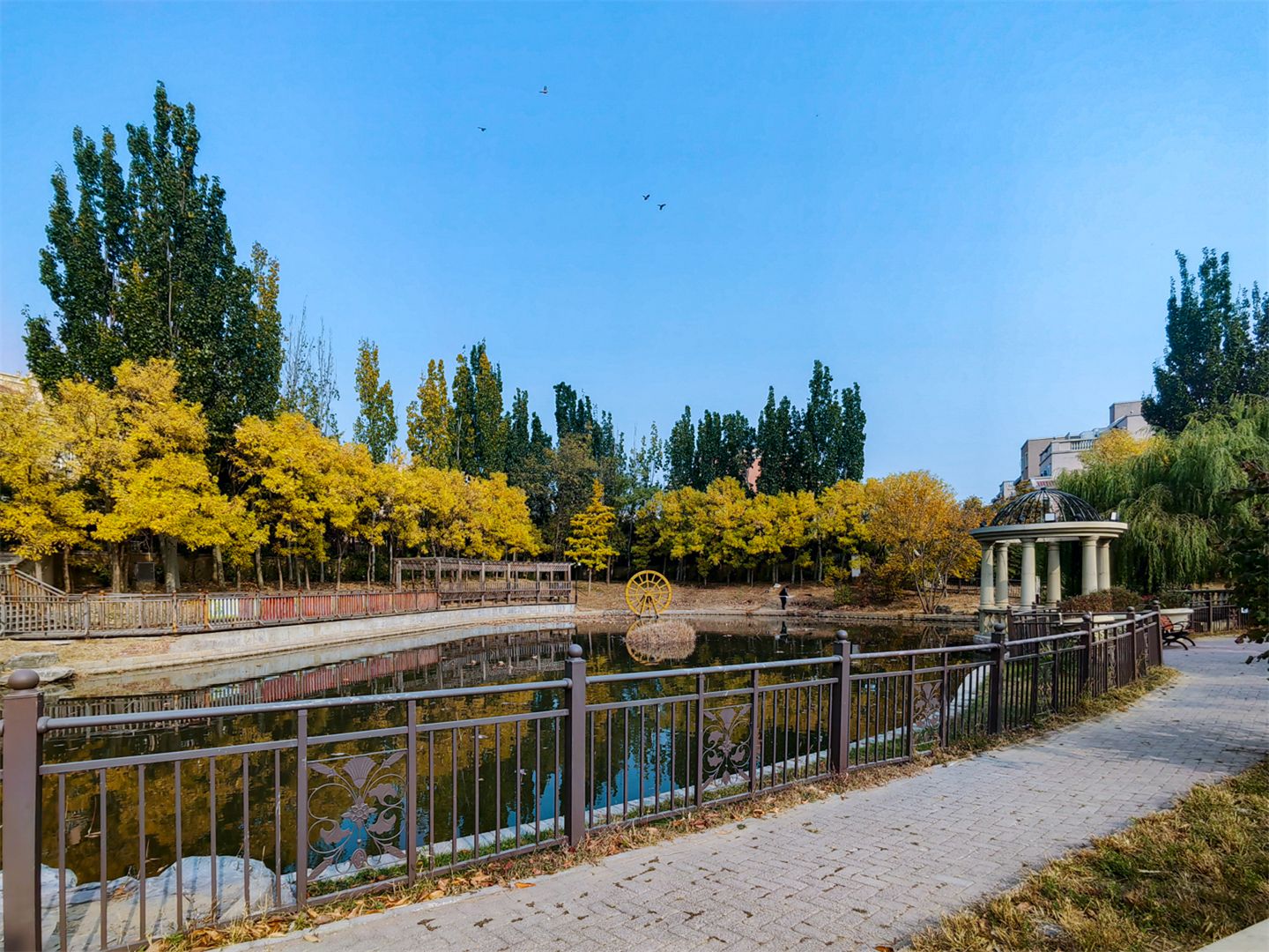 誉天下四期 environment