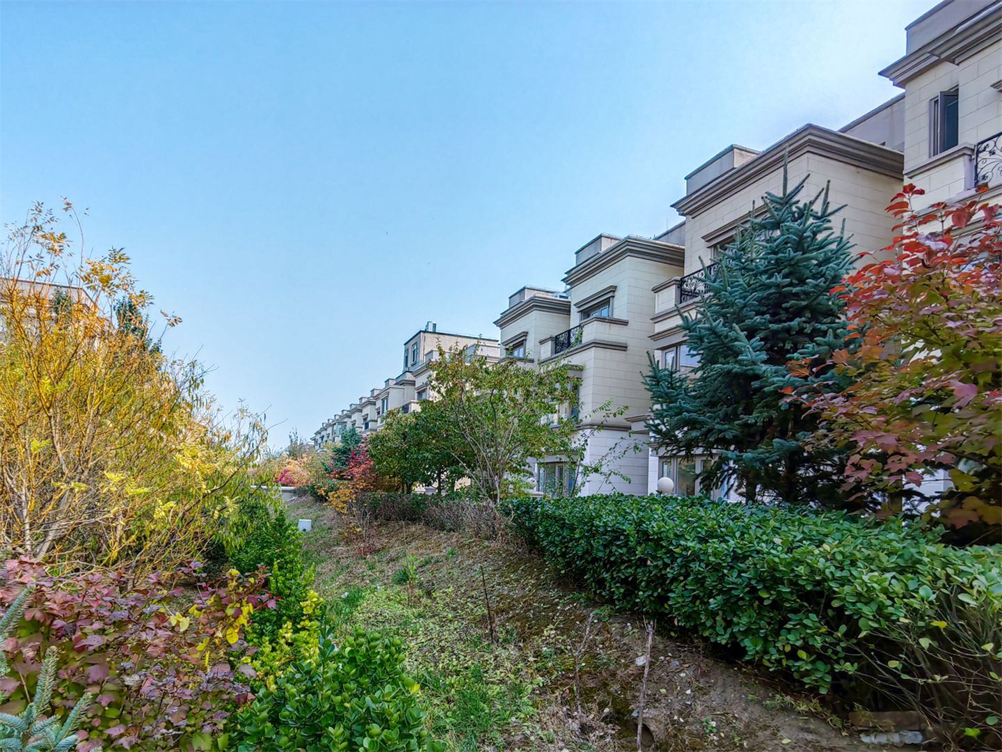 誉天下四期 environment