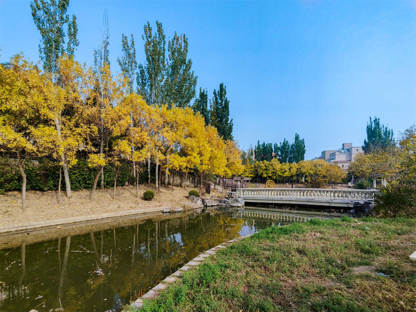 誉天下四期 environment