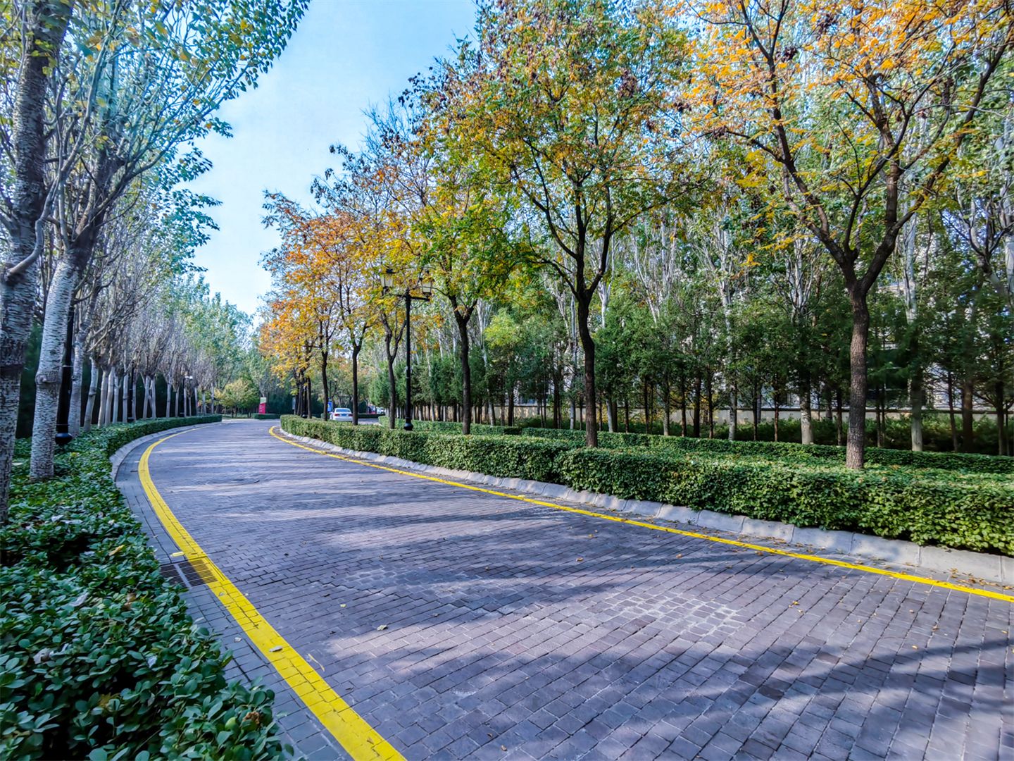 誉天下四期 environment