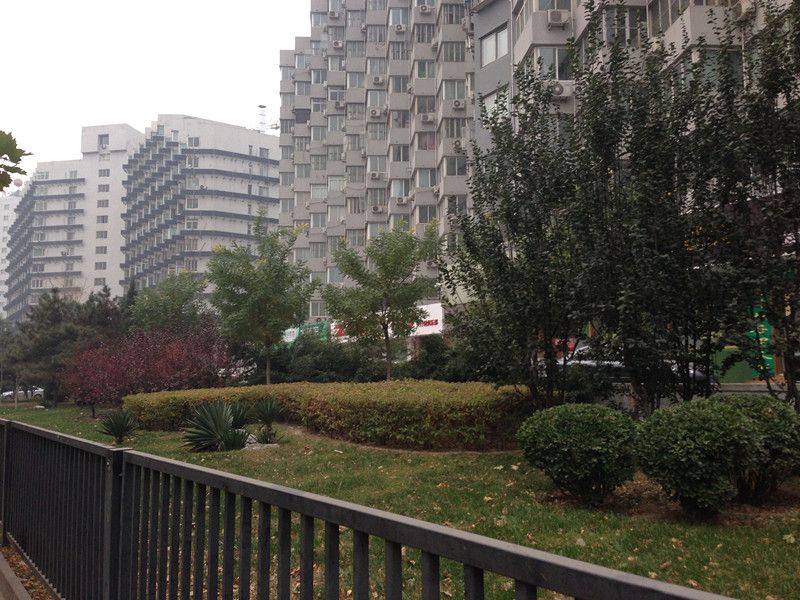 裕中东里 environment