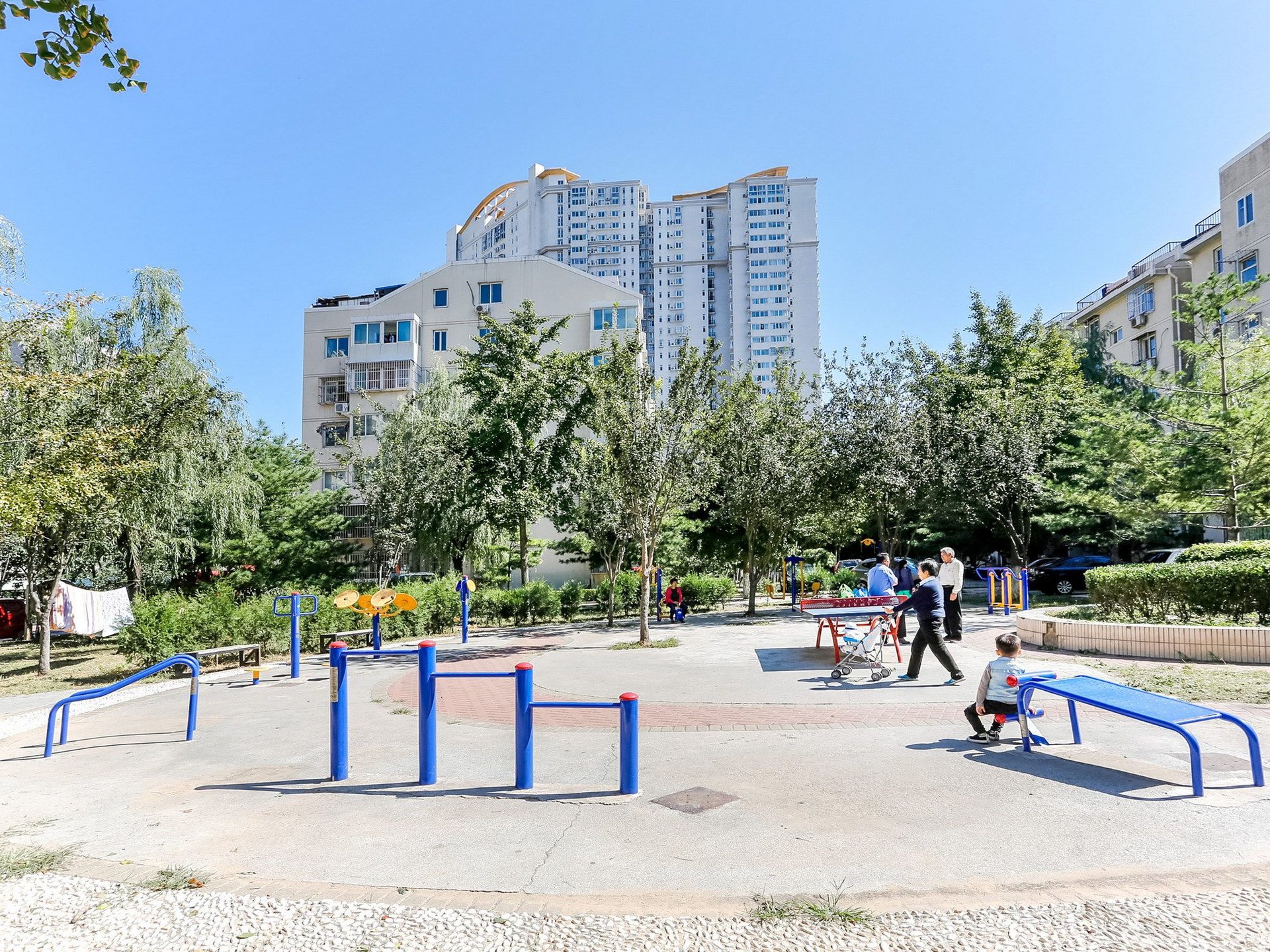 兆丰园 environment