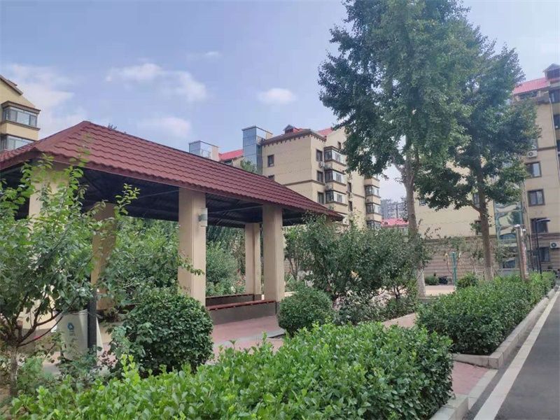 兆丰园 environment