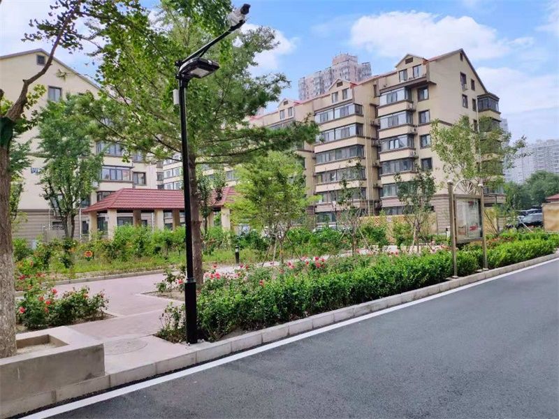 兆丰园 environment