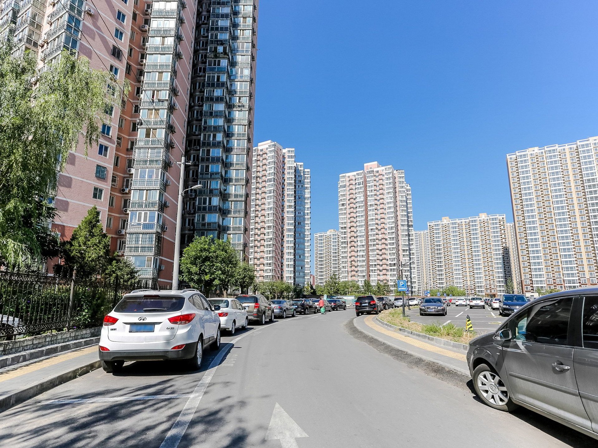 兆丰园 environment