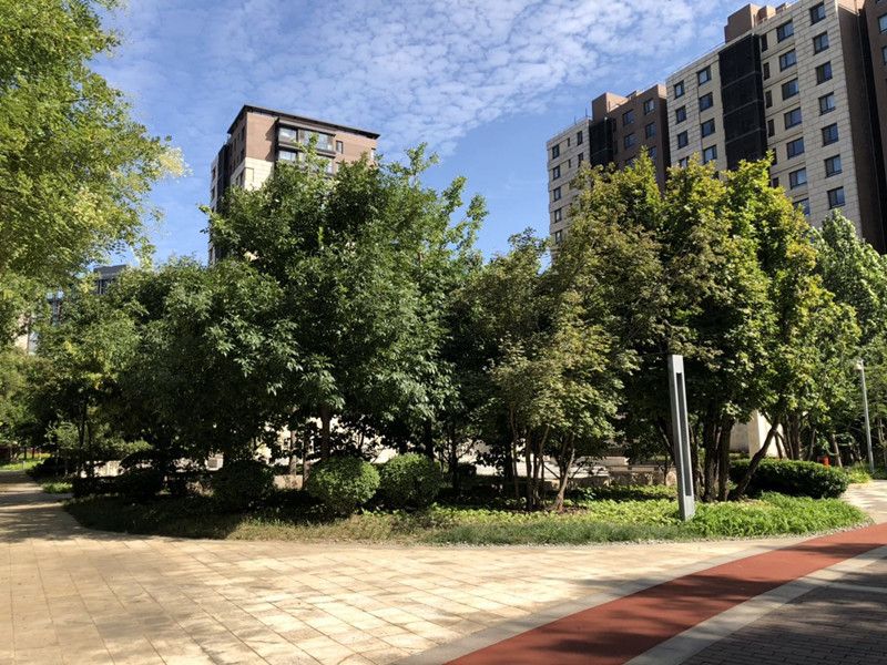 招商嘉铭珑原 environment