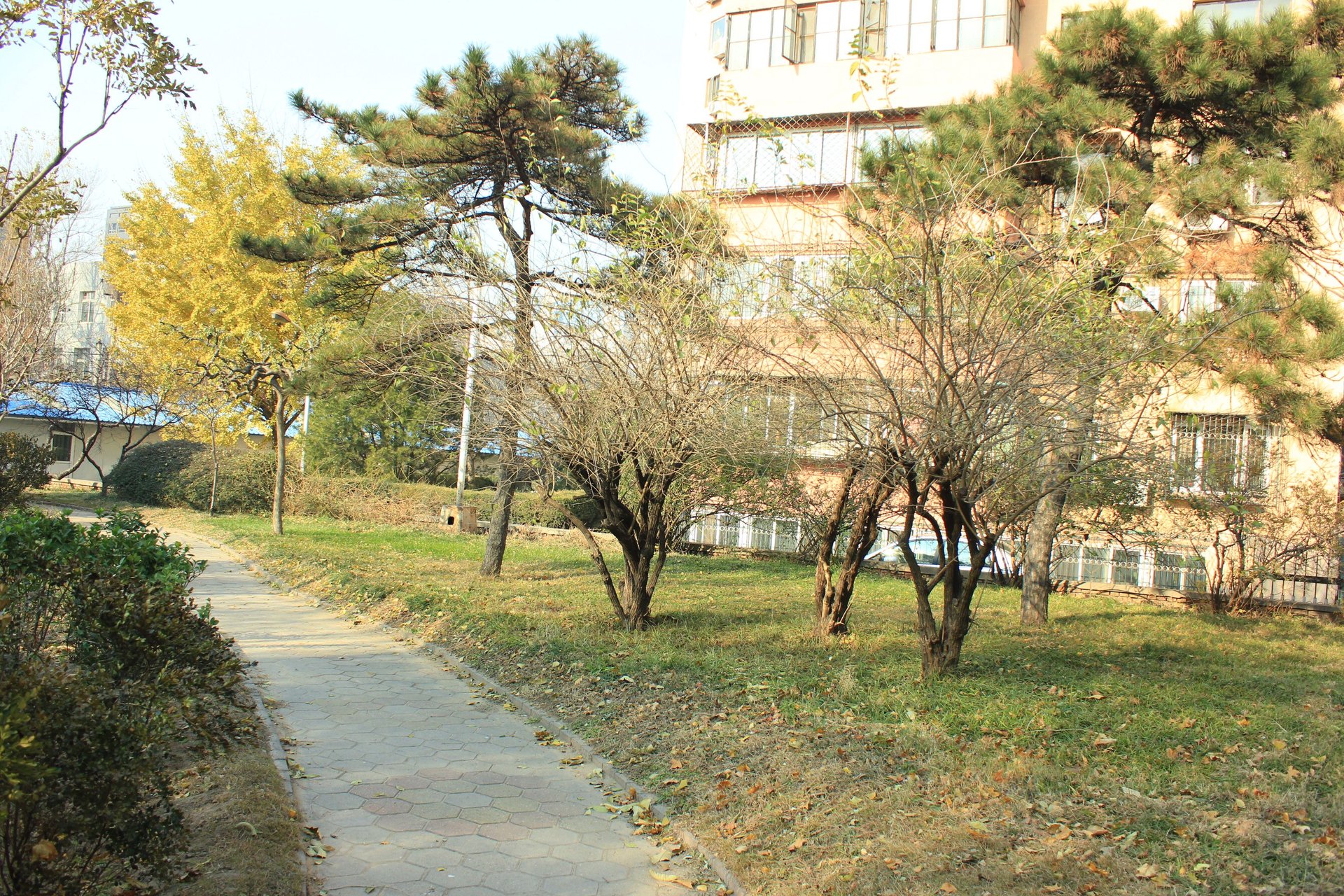 真武庙六里 environment