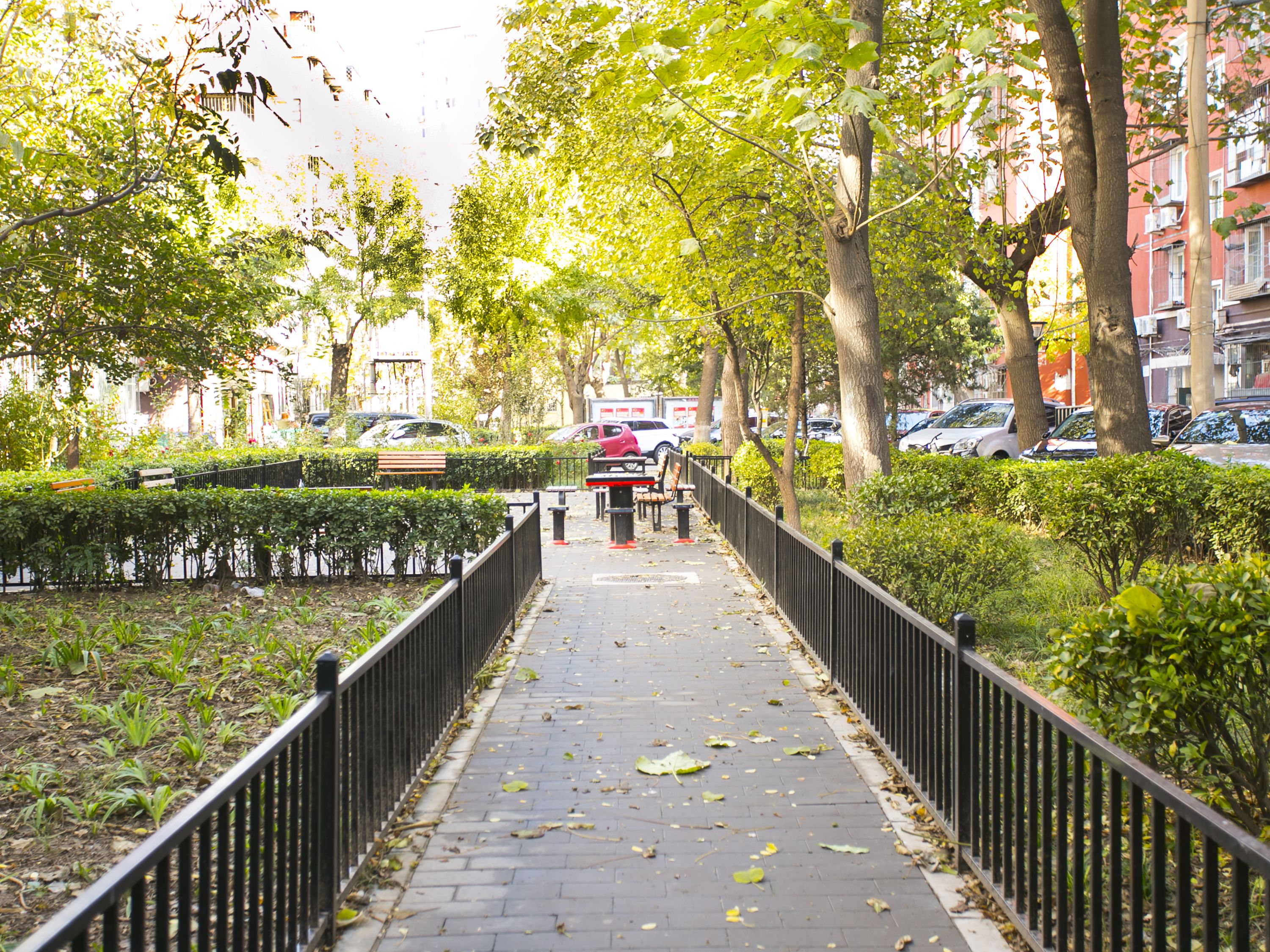 知春里 environment