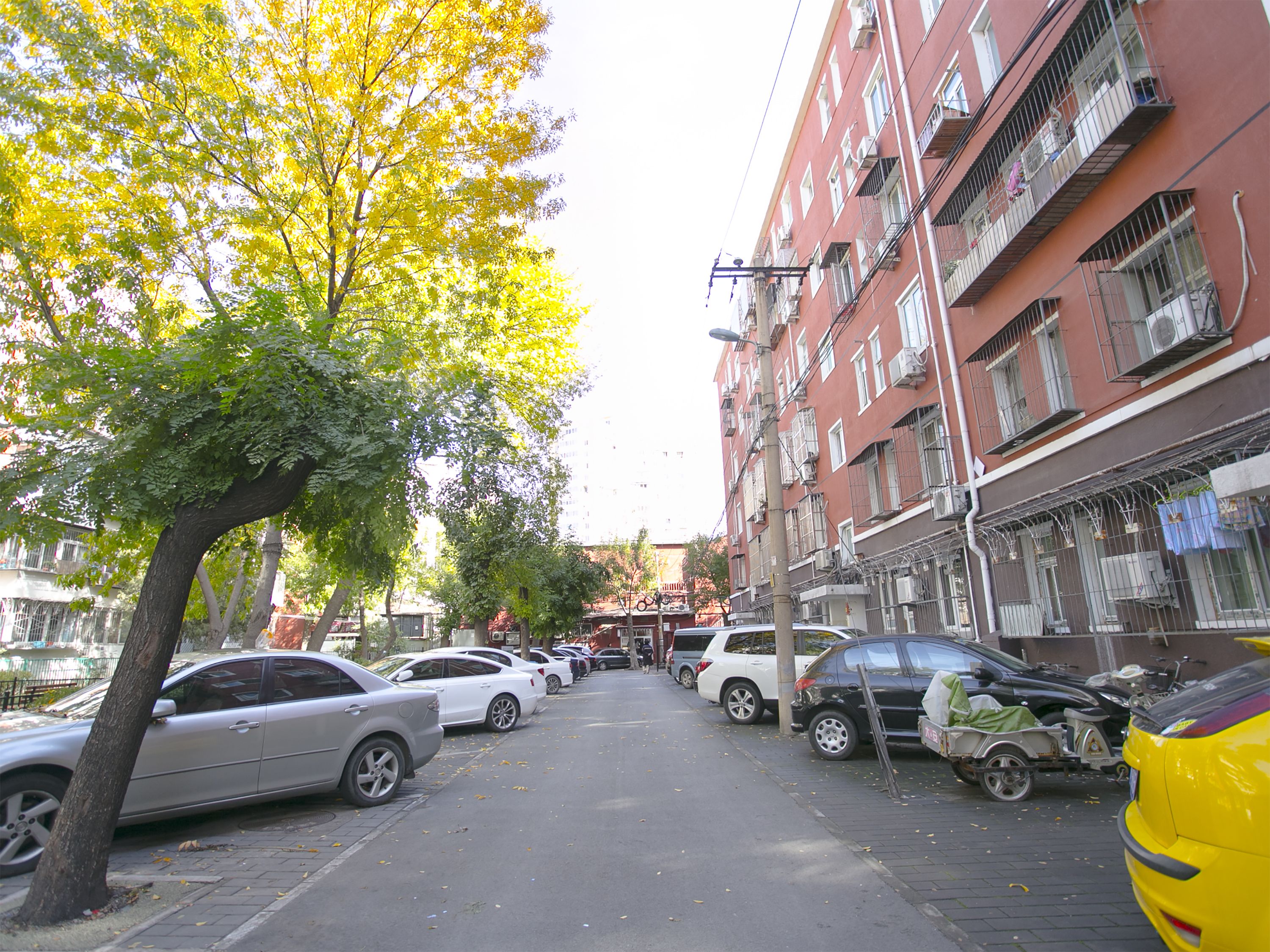 知春里 environment