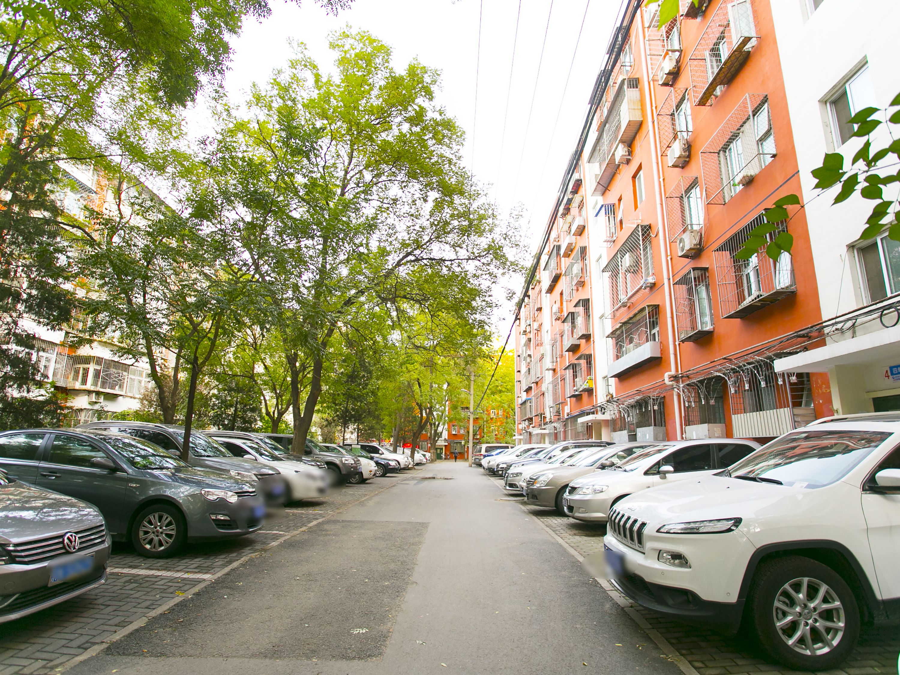 知春里 environment