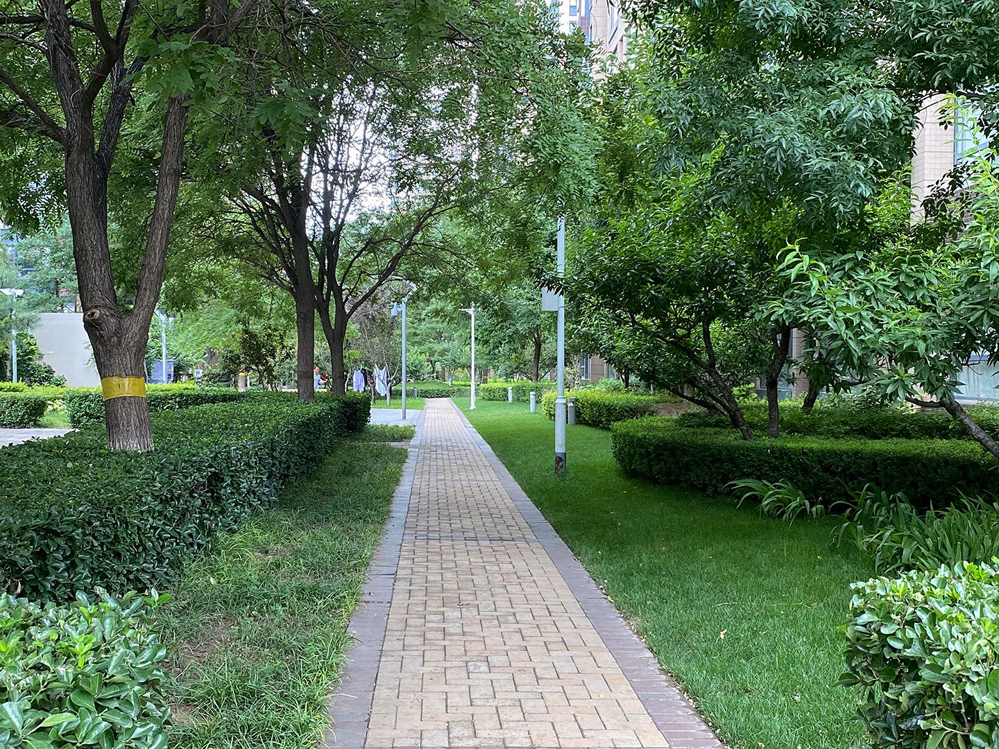 中国铁建国际城 environment