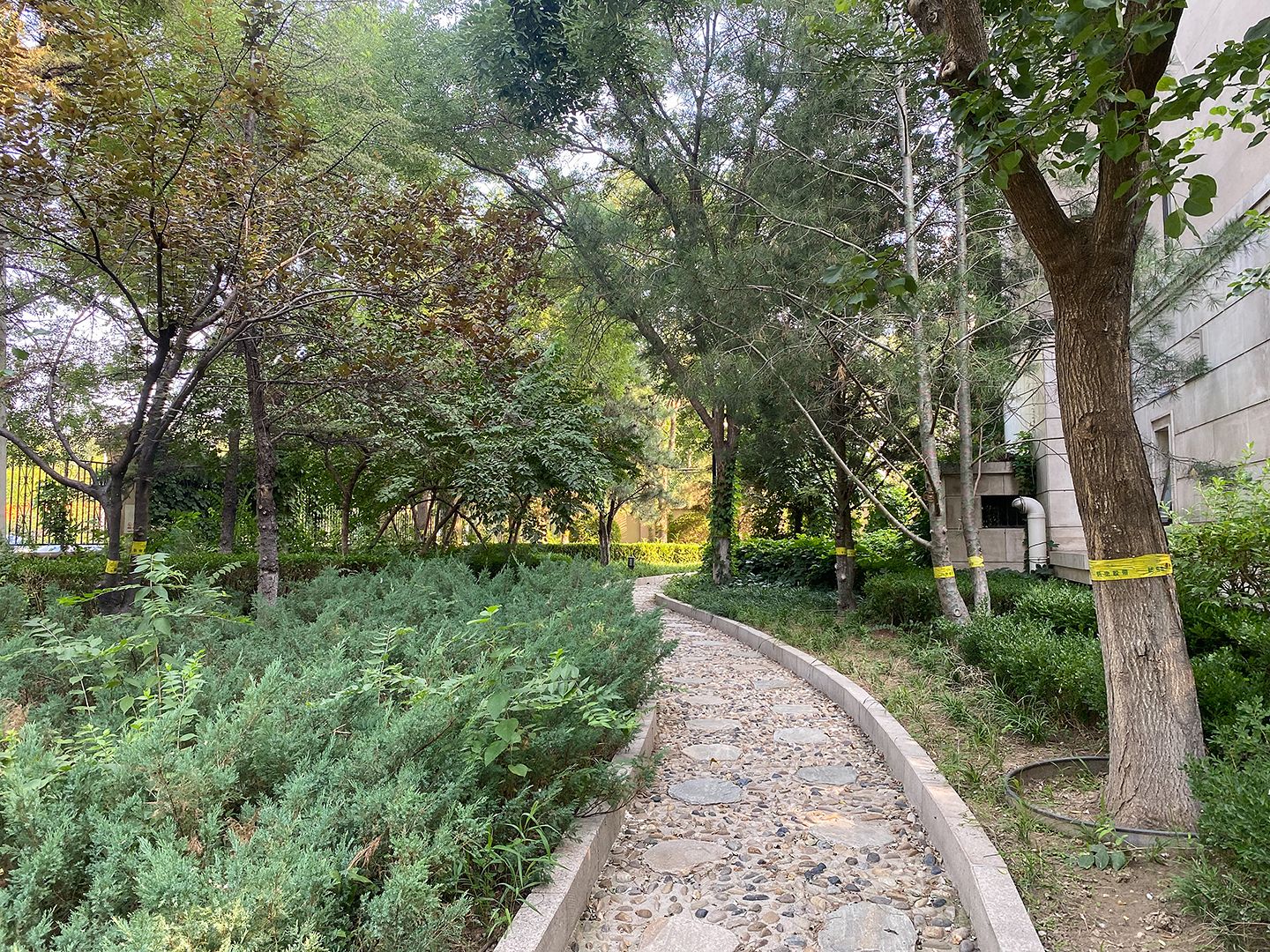 中国铁建花语城 environment