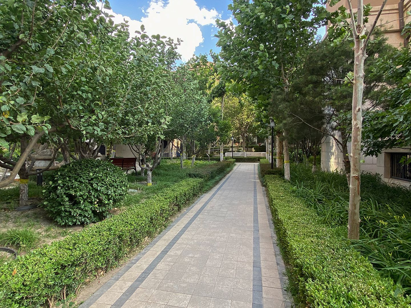 中国铁建花语城 environment