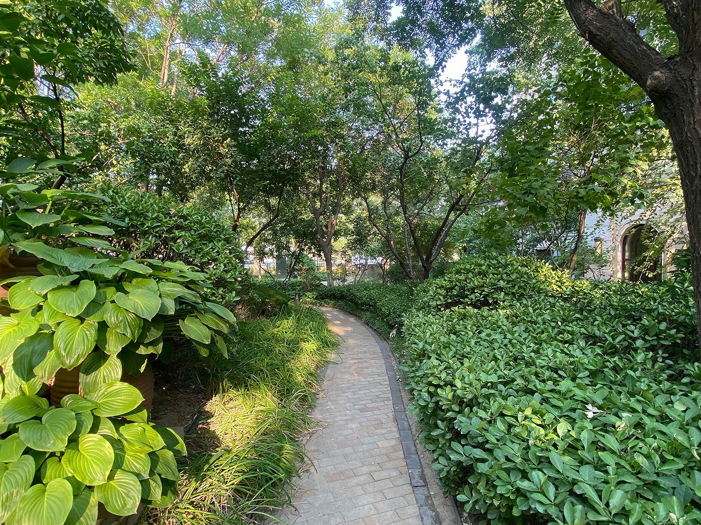 中国铁建花语城 environment