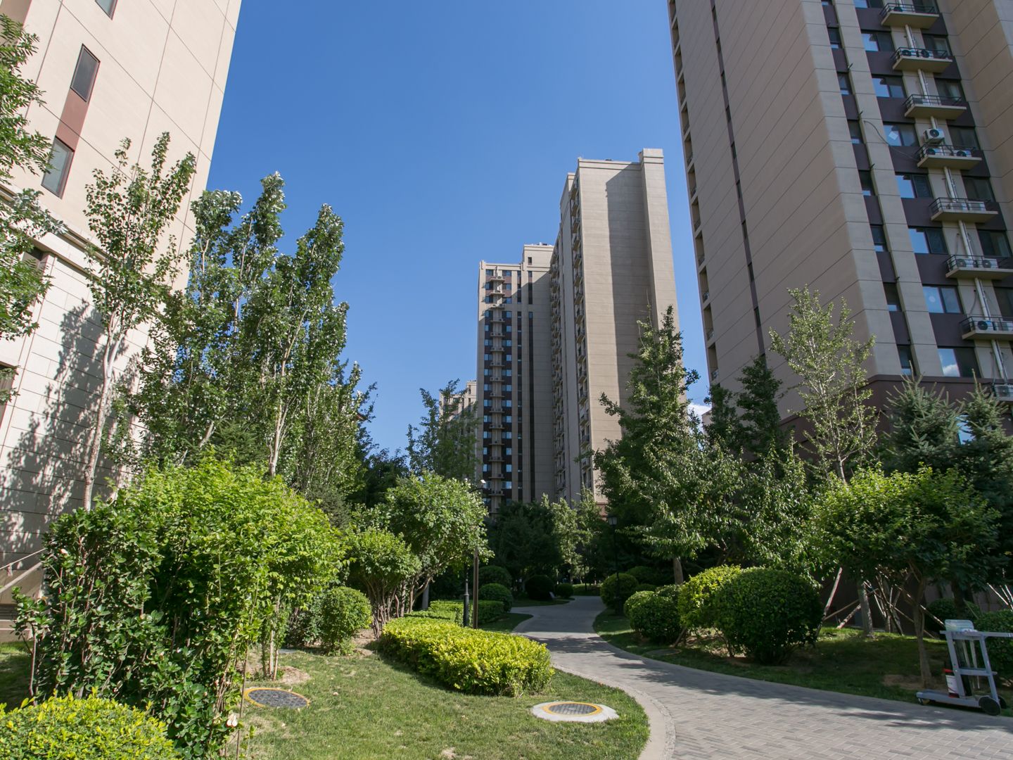 中国铁建花语金郡 environment