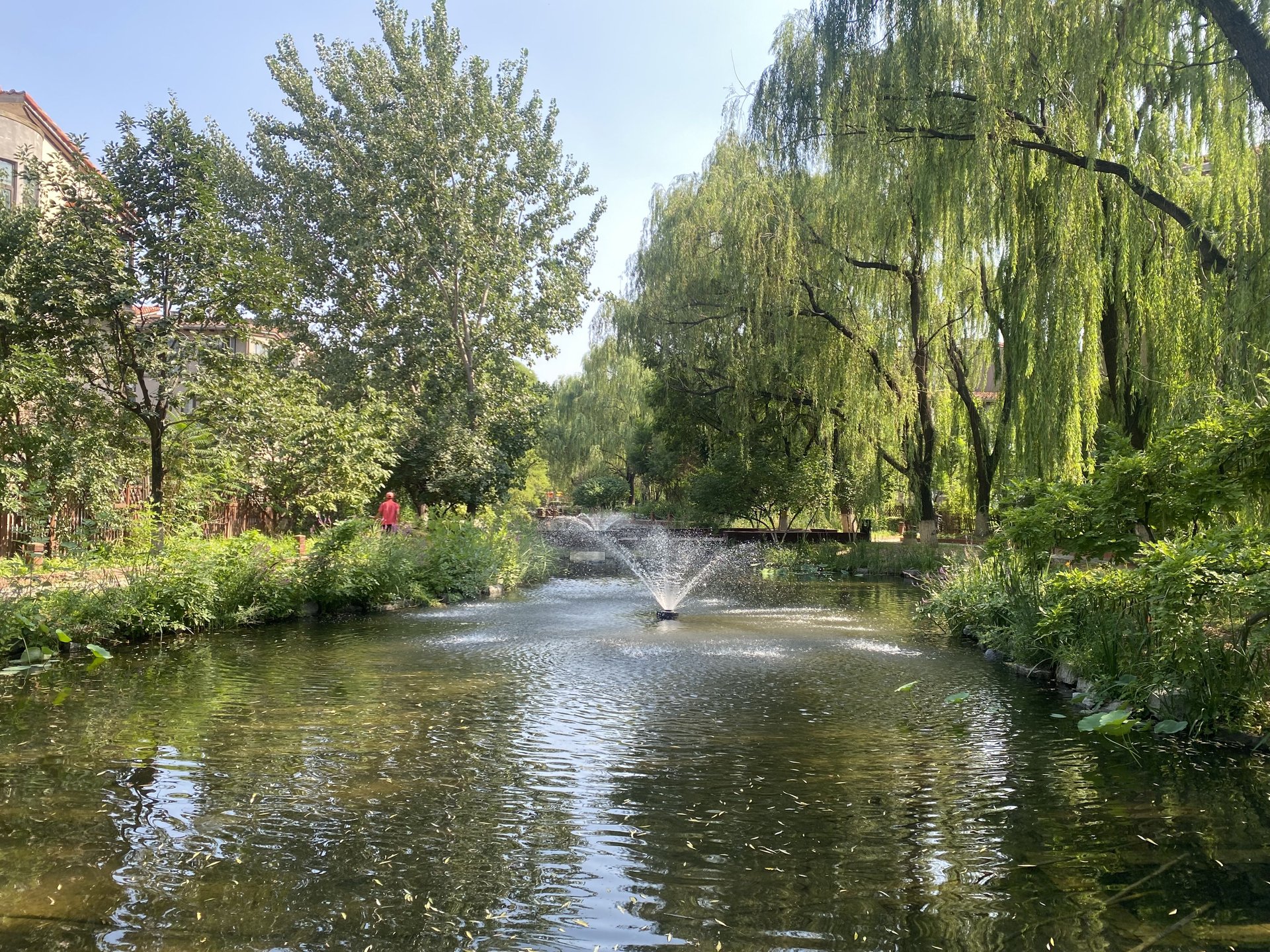 中海安德鲁斯庄园东区 environment