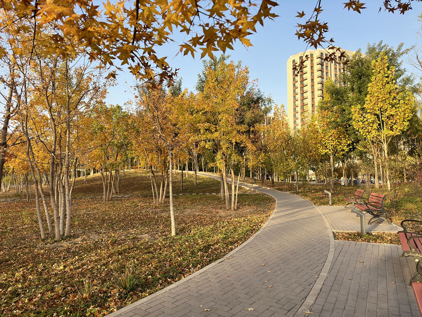 中海长安雅苑 environment