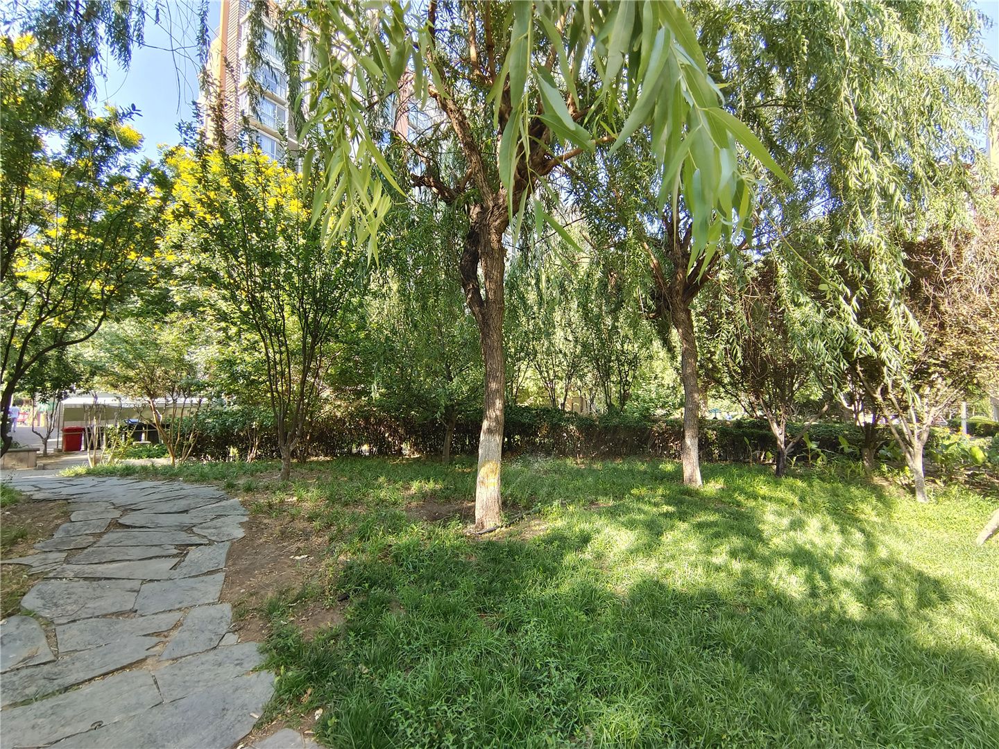 中海城南区 environment