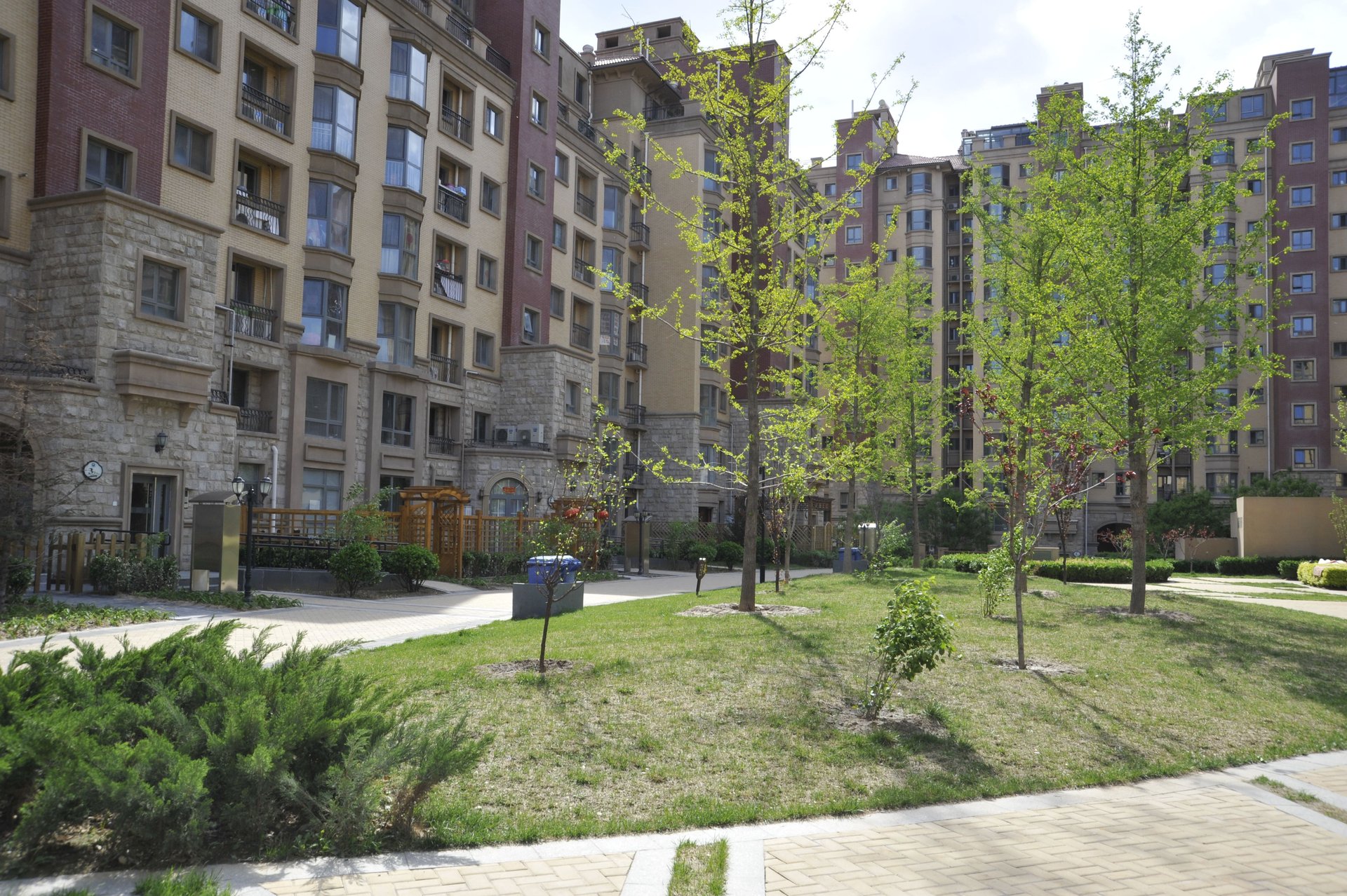 中海城圣朝菲 environment