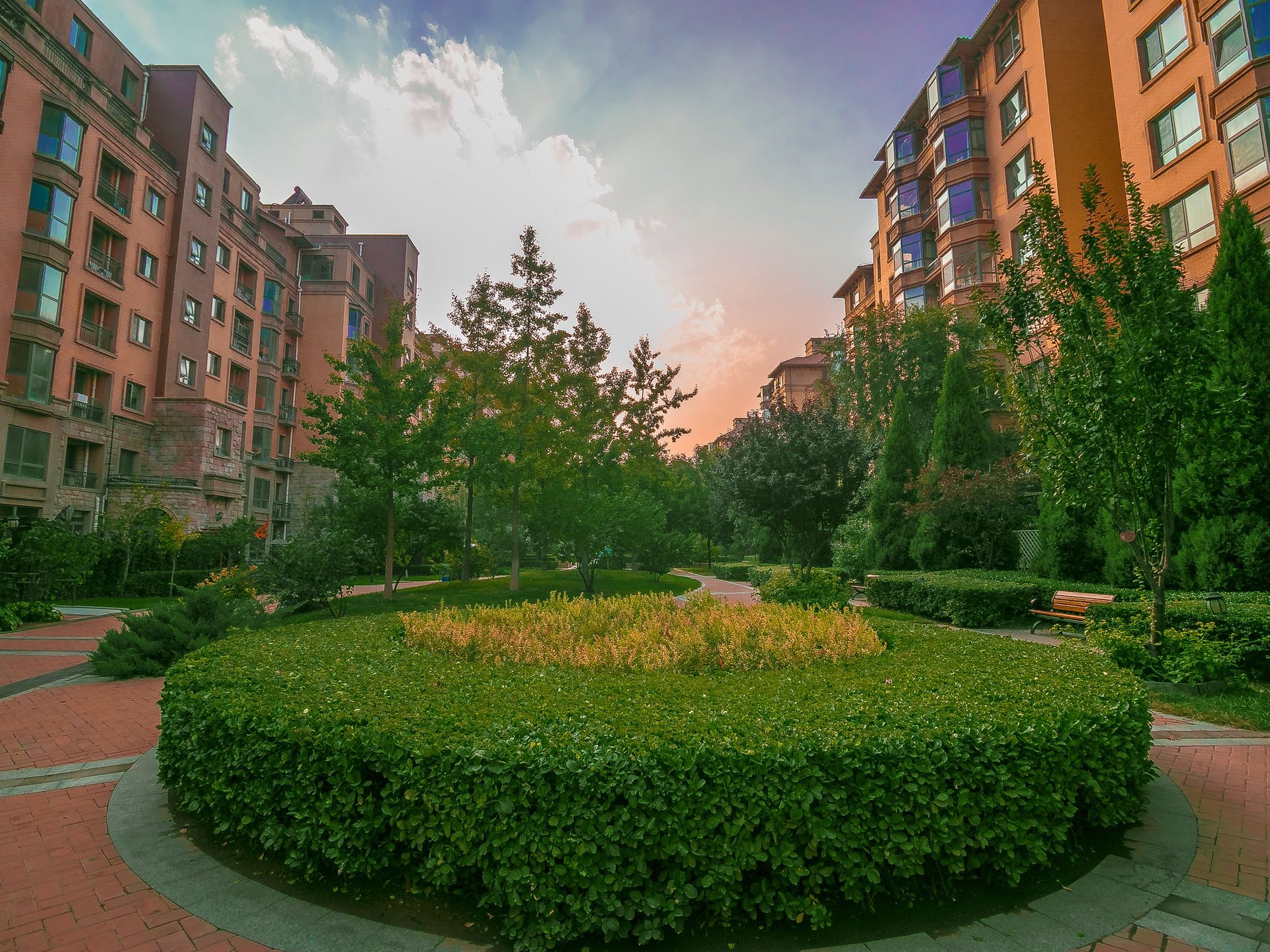 中海城圣朝菲 environment