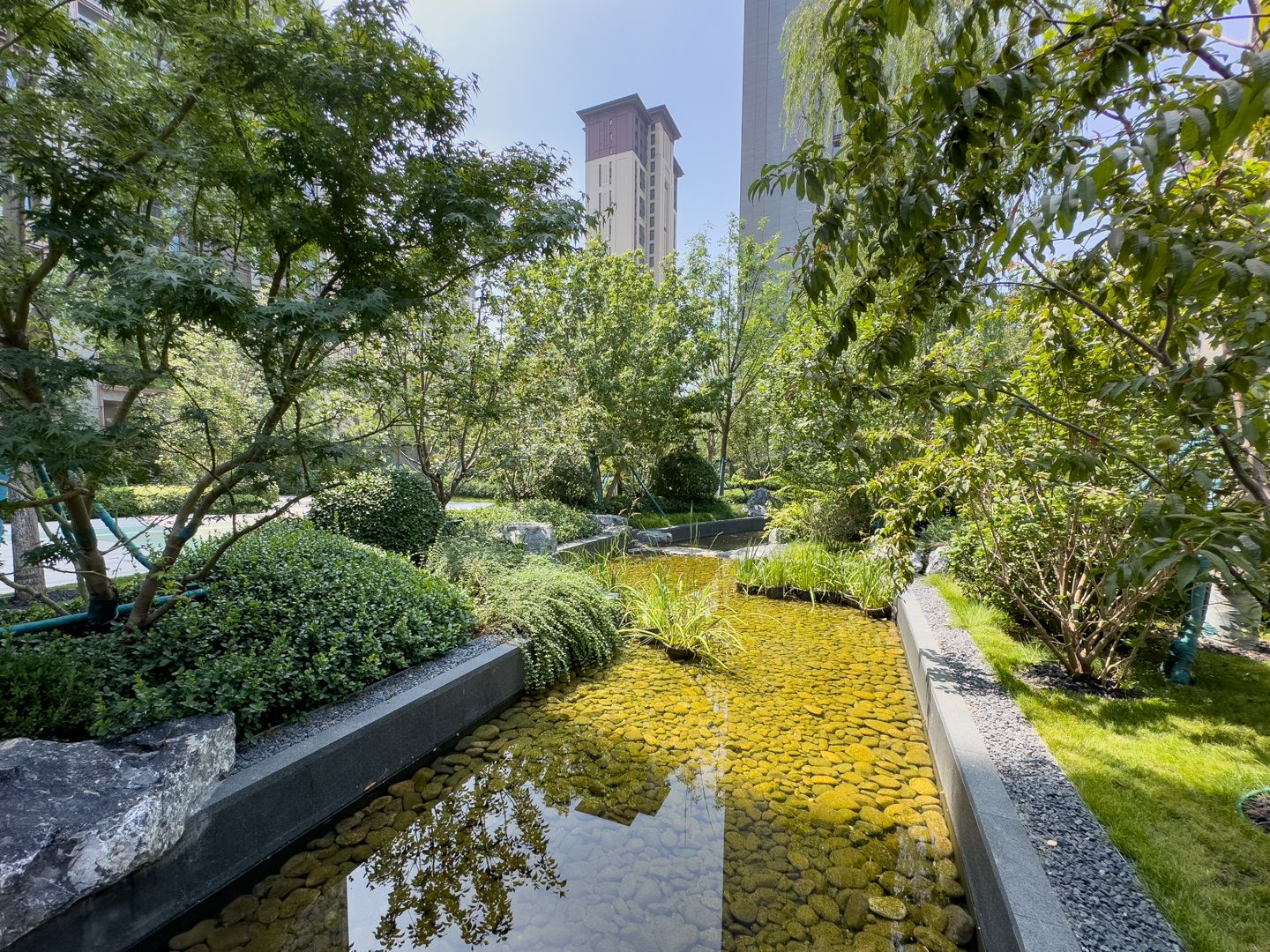 中海寰宇天下·天赋 environment