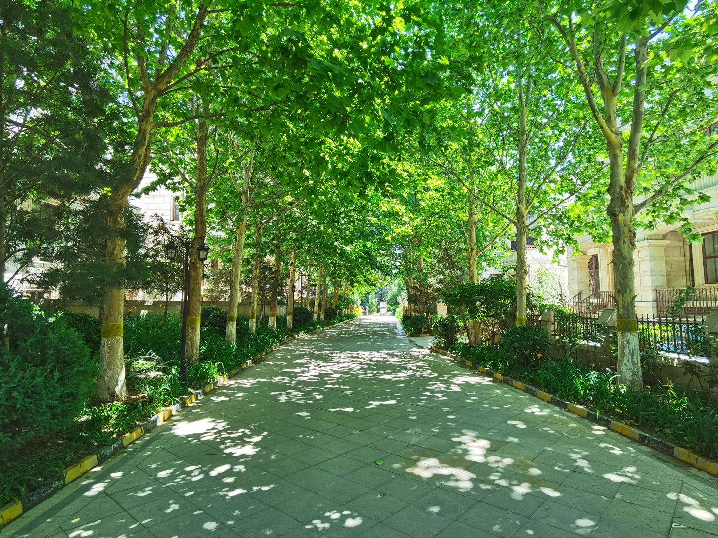 中海九号公馆二区 environment