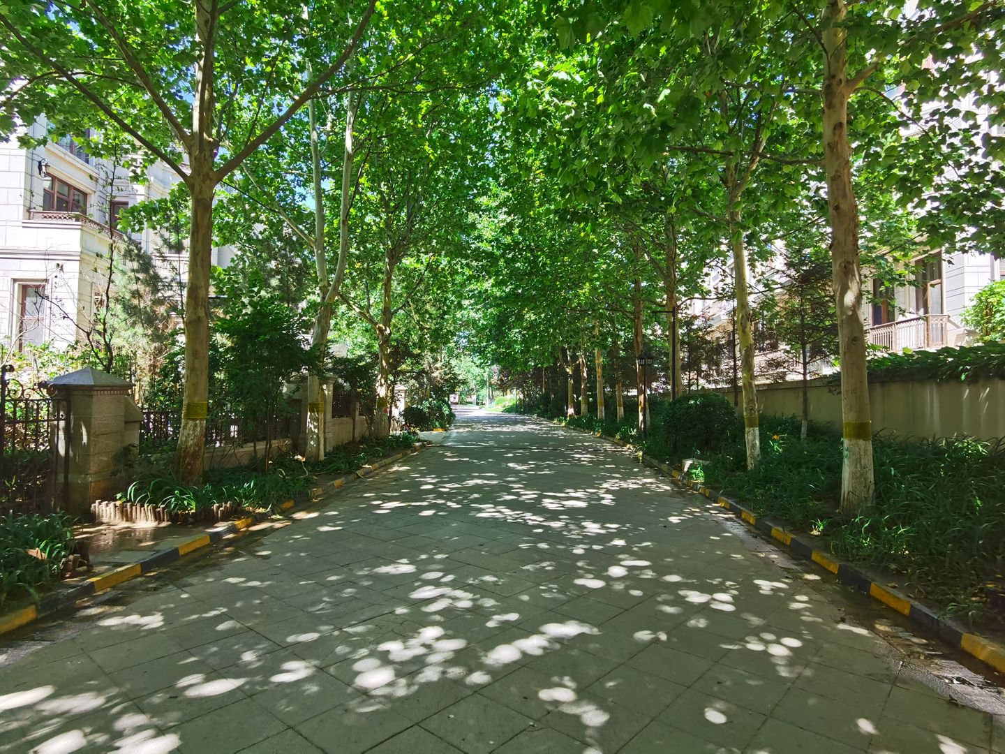 中海九号公馆二区 environment