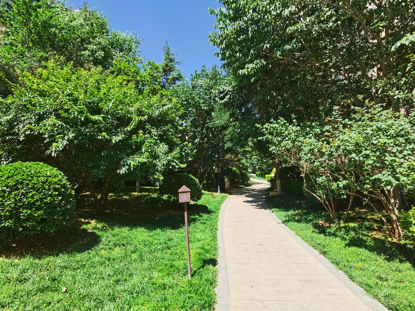 中海九号公馆二区 environment