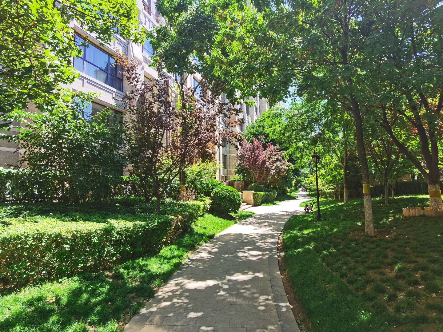 中海九号公馆二区 environment