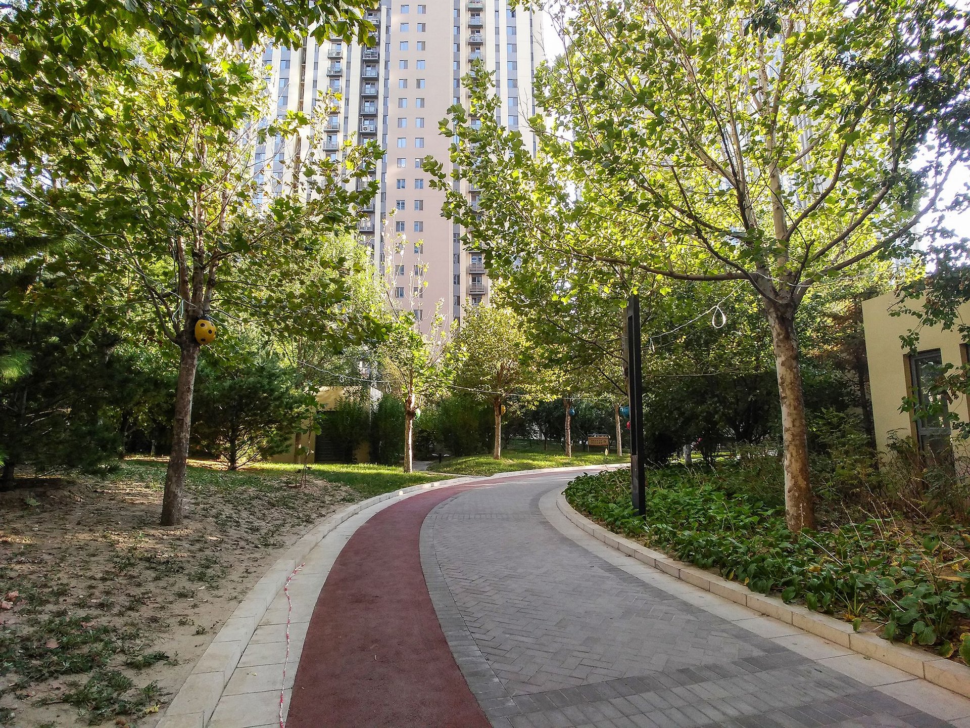 中建国际港 environment