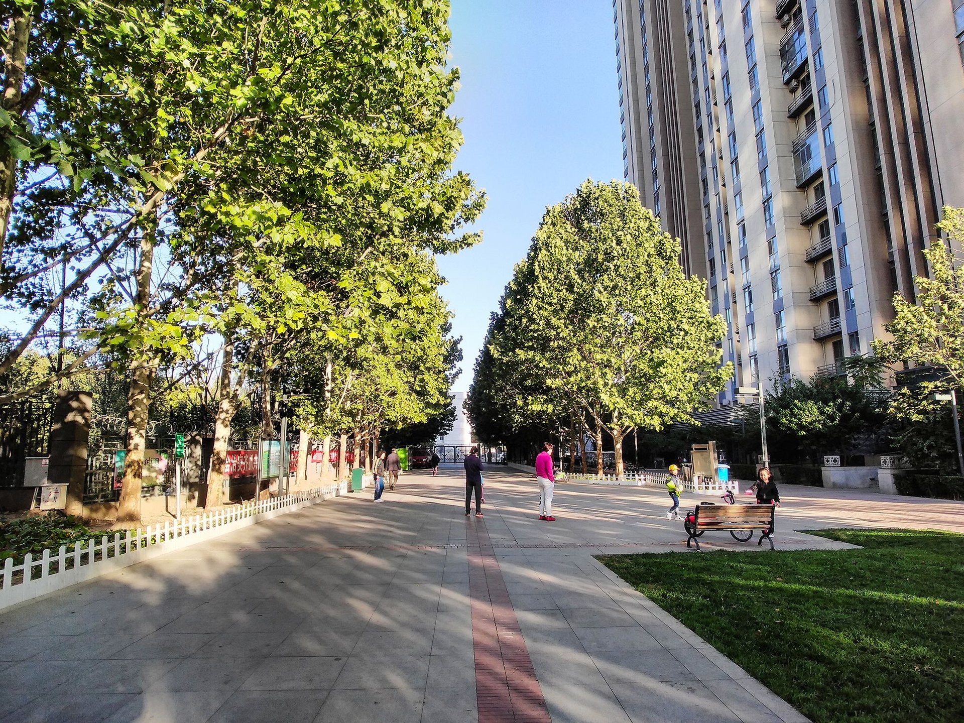 中建国际港 environment