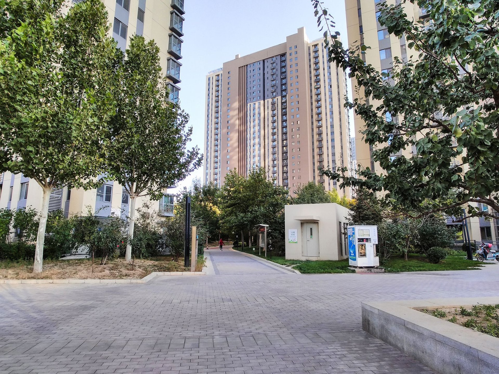 中建国际港 environment