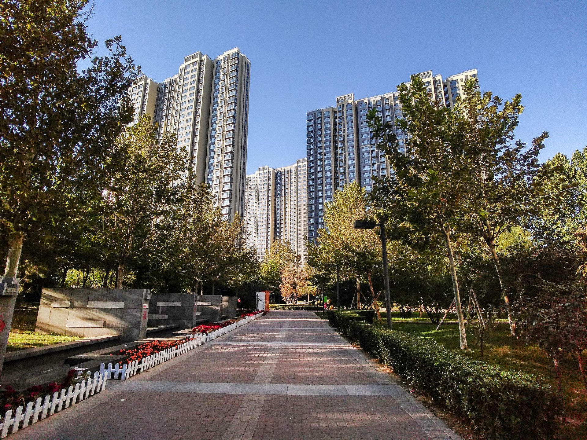 中建国际港 environment