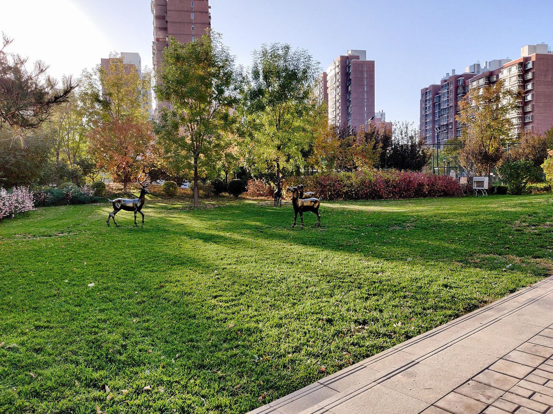 中建国际港 environment