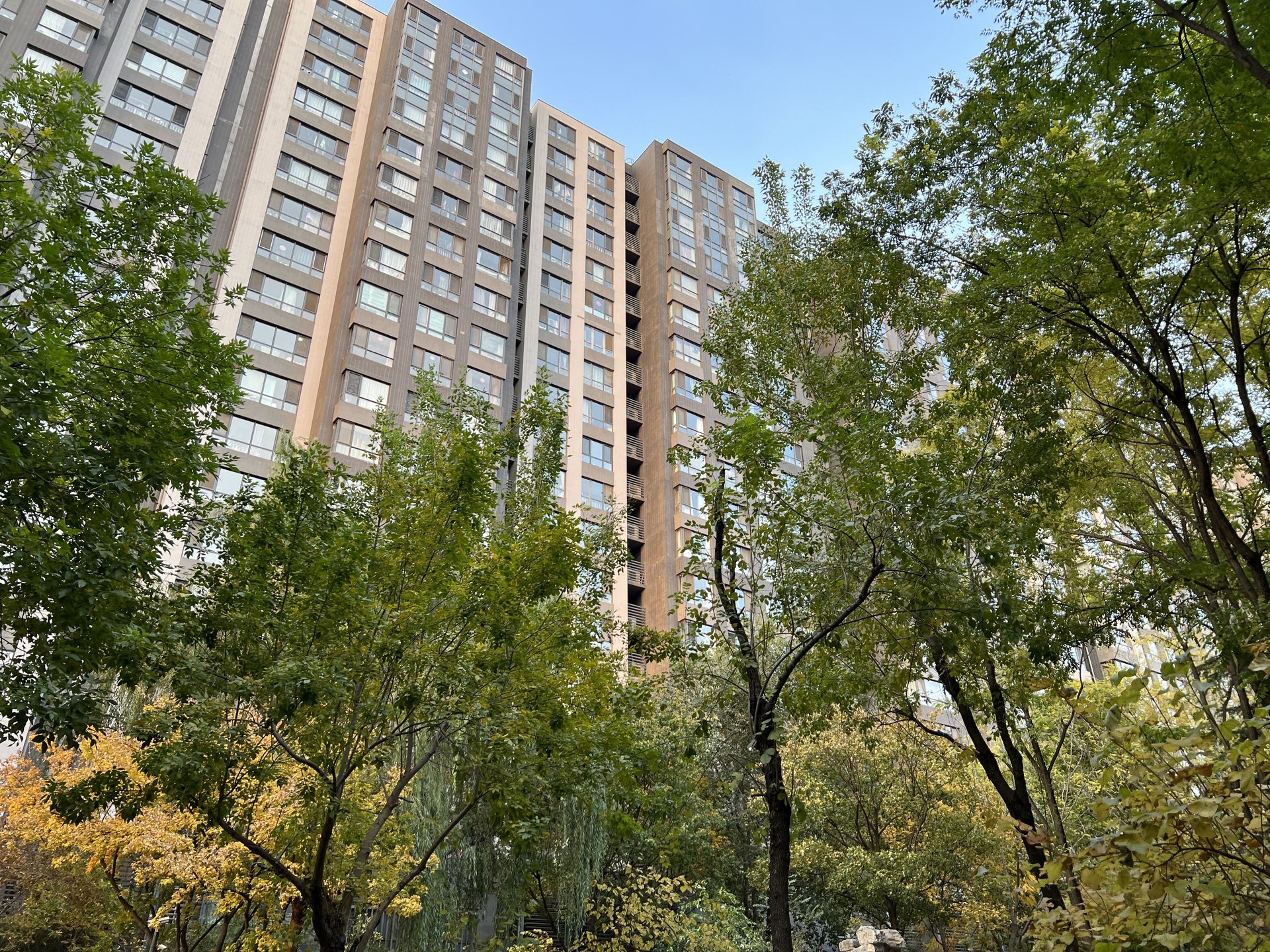 中信沁园 environment