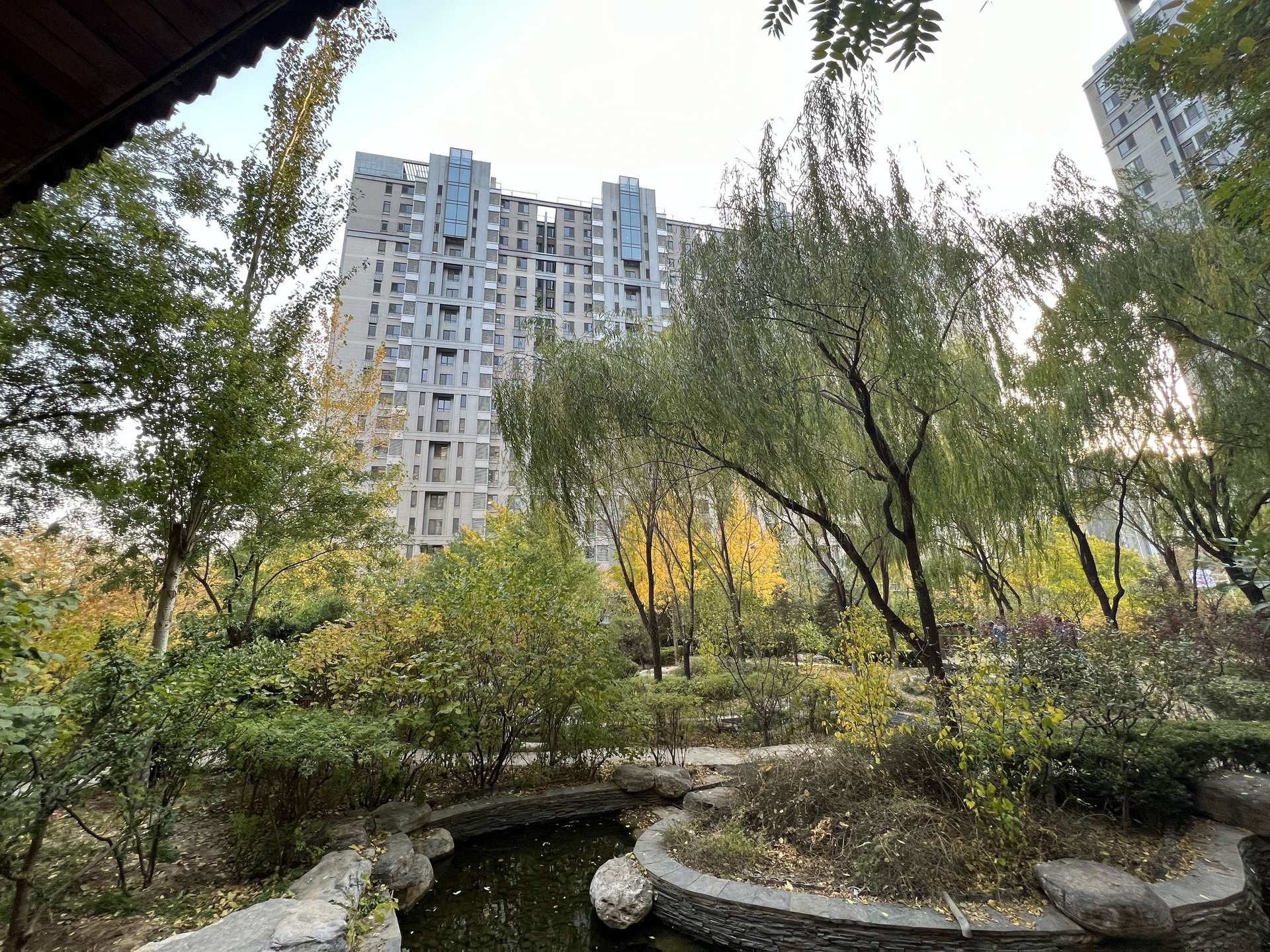 中信沁园 environment