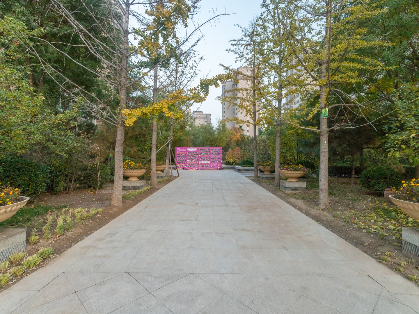 中信新城东区 environment