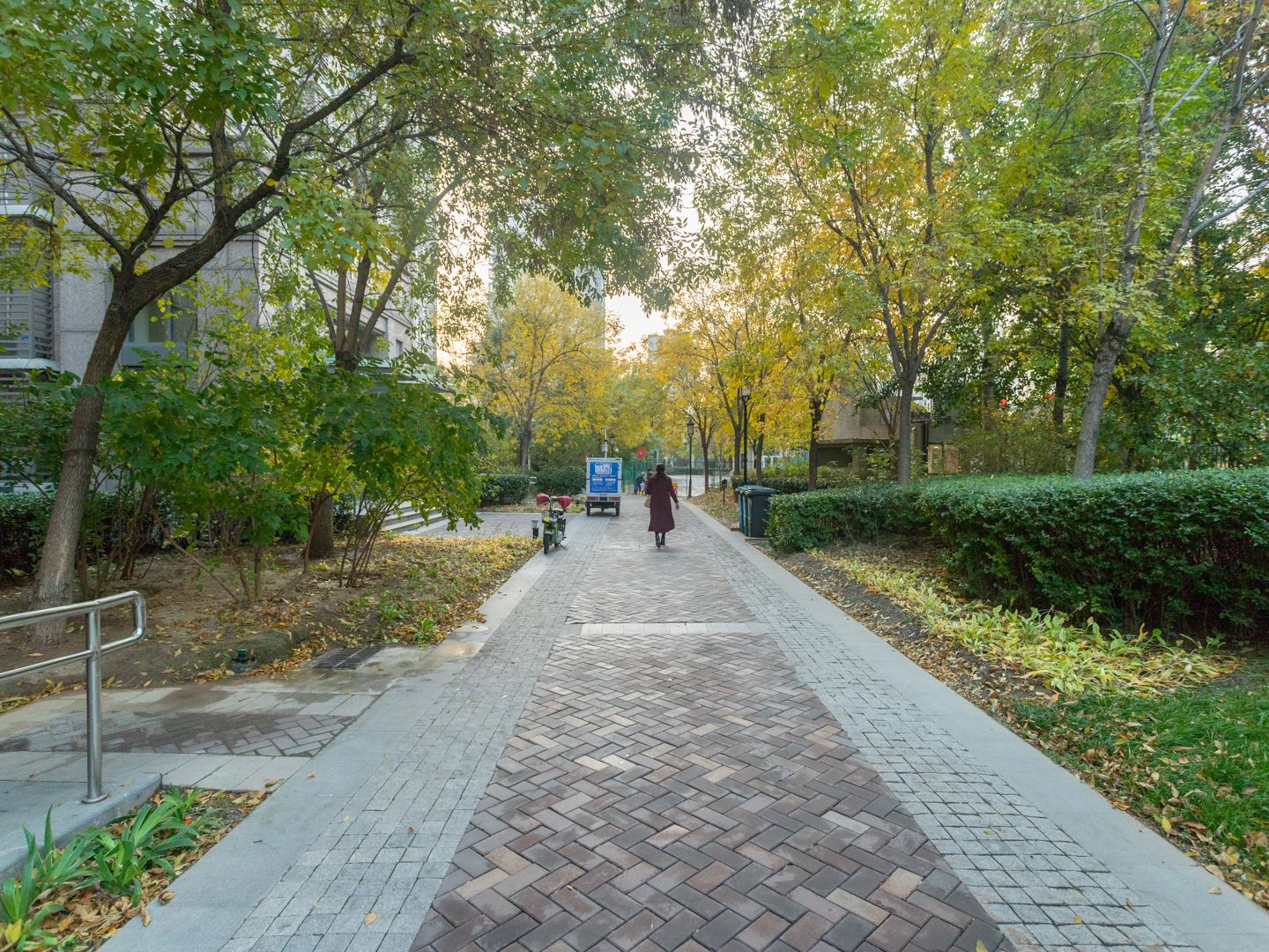 中信新城东区 environment