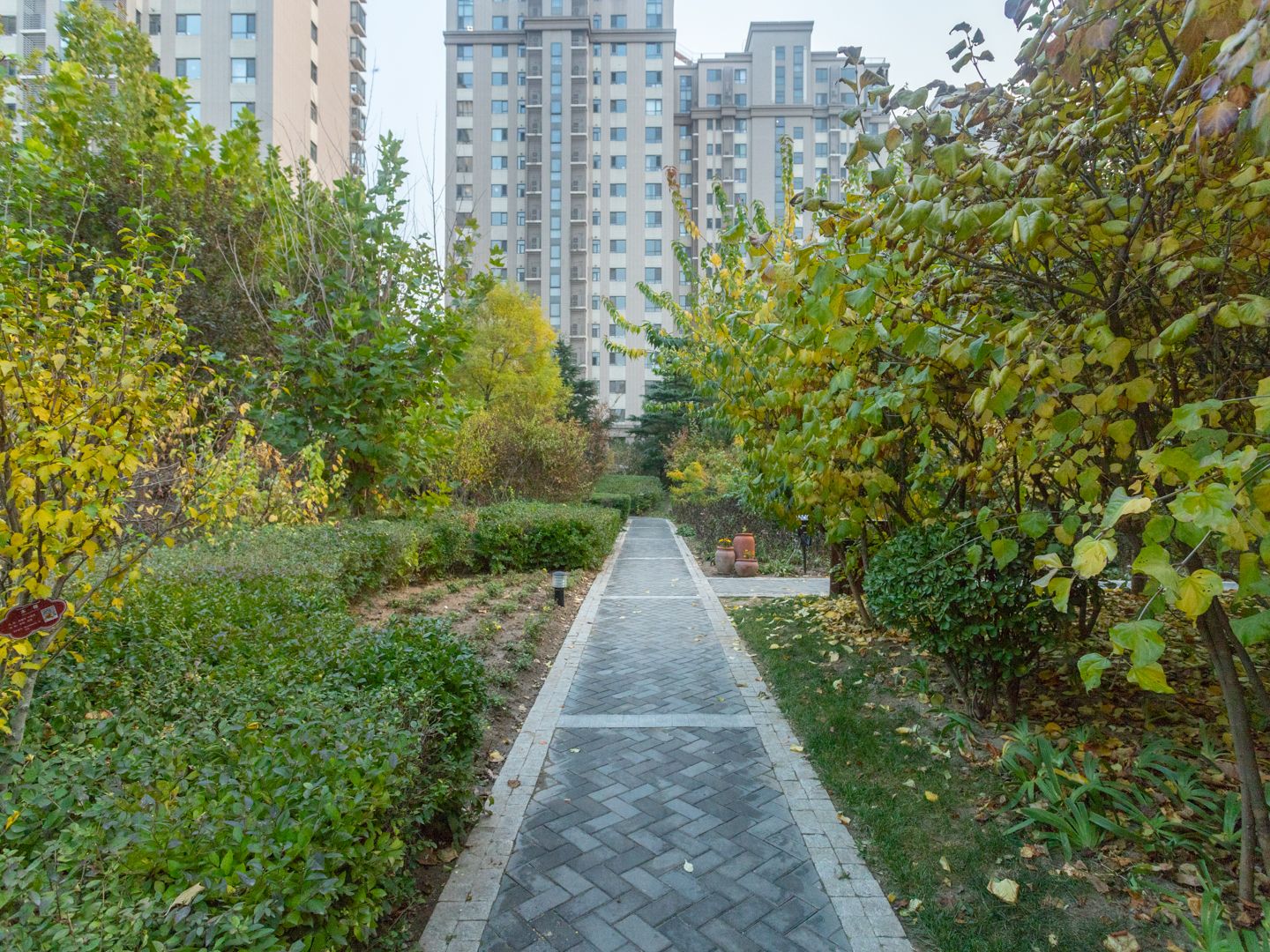 中信新城东区 environment