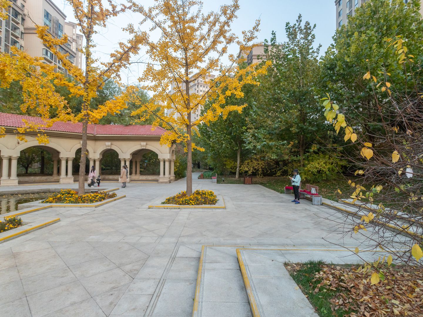 中信新城东区 environment