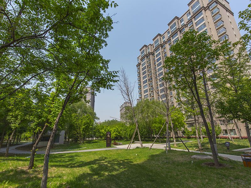 中信新城东区 environment