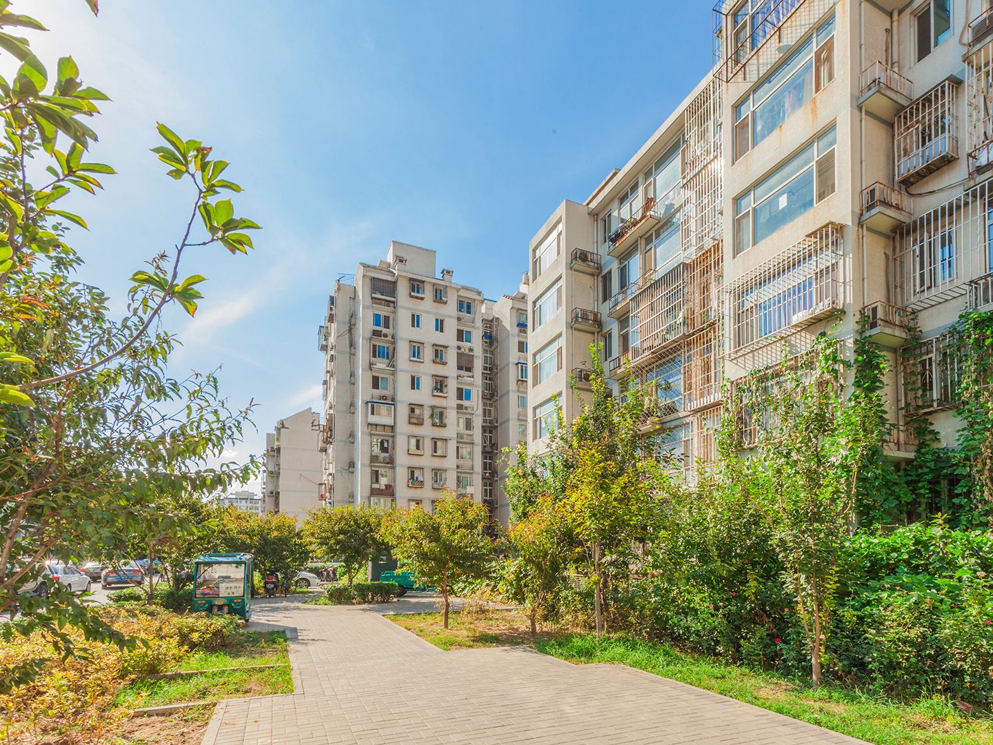 竹杆胡同 environment