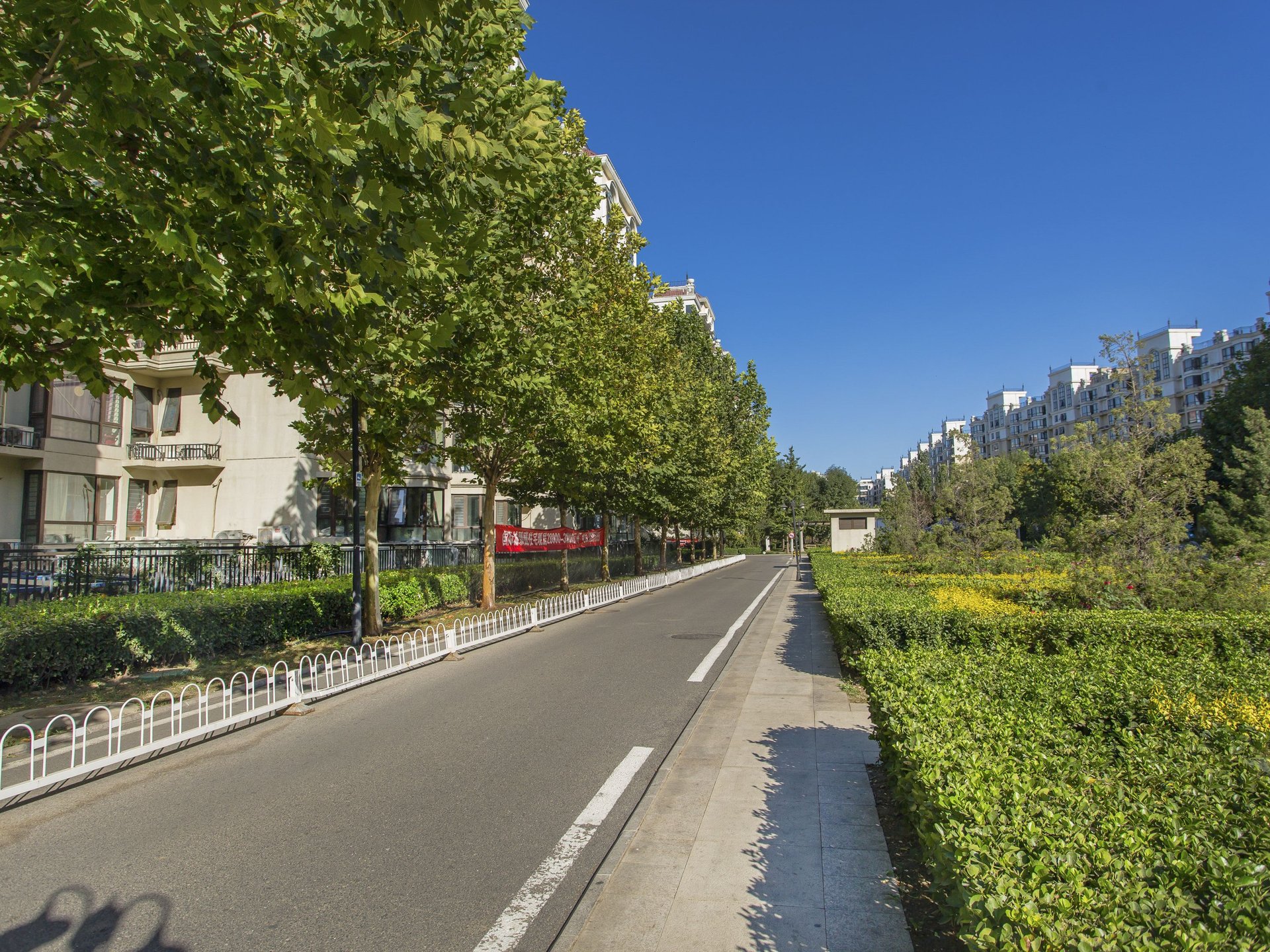 珠江拉维小镇 environment