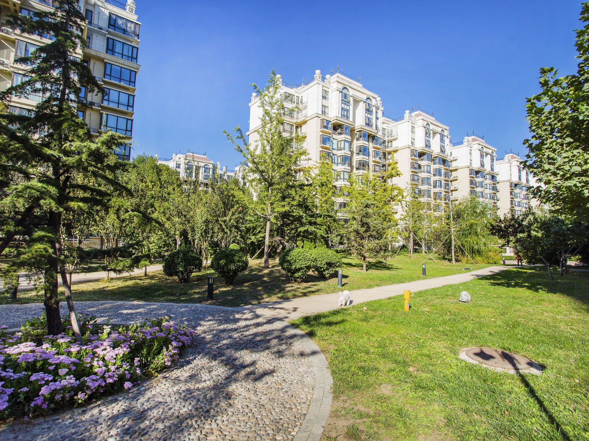 珠江拉维小镇 environment