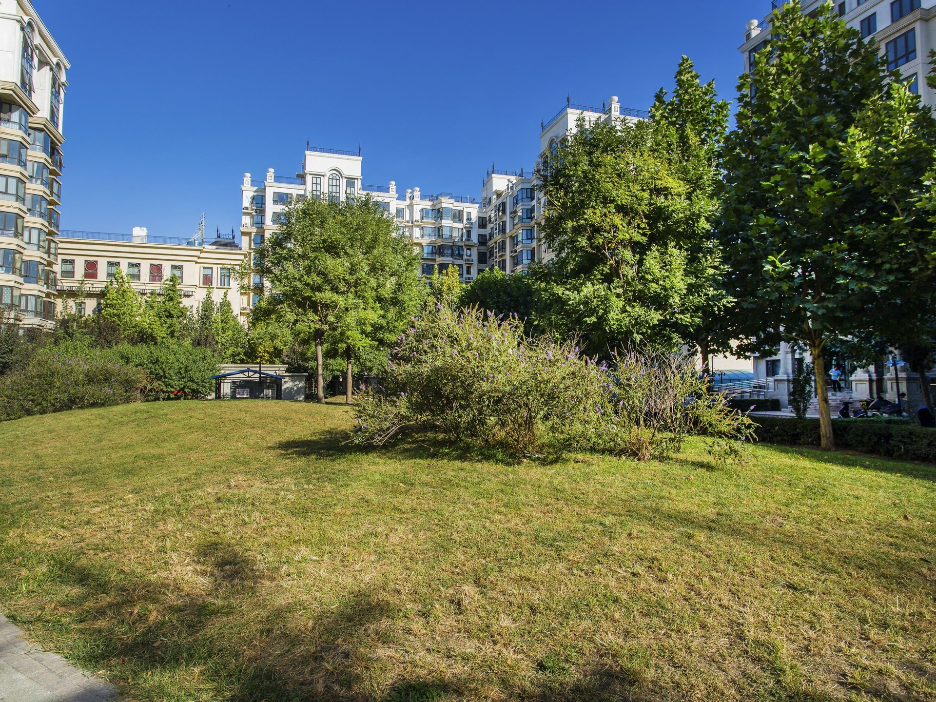 珠江拉维小镇 environment